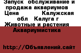 Запуск, обслуживание и продажа аквариумов › Цена ­ 3 000 - Калужская обл., Калуга г. Животные и растения » Аквариумистика   